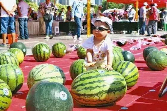 每日吃瓜大赛官网入口,揭秘娱乐圈幕后风云，尽享娱乐盛宴