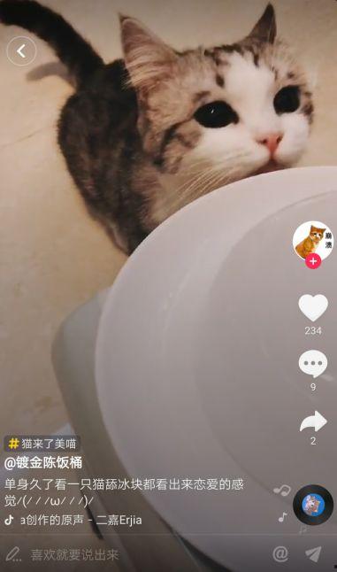 吃瓜猫抖音网红是谁,揭秘网红背后的故事与魅力”