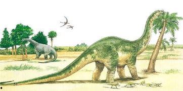 网红吃瓜恐龙,趣味横生引发网友热议