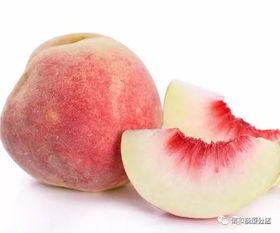 桃子爆料网吃瓜黑料,揭秘娱乐圈吃瓜黑料背后的真相