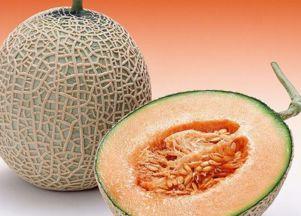 江西网红鹅吃哈密瓜,哈密瓜成新宠！