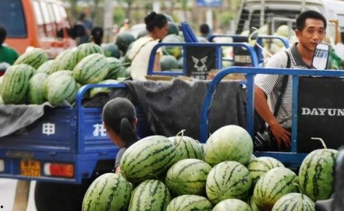 浙江男网红吃瓜,揭秘瓜界新潮流