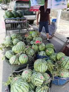 潮州网红吃瓜事件视频,一场网络热议的幕后真相揭秘