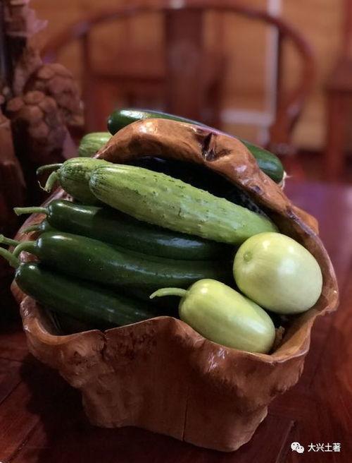 四川吃瓜视频网红最新,揭秘当地美食文化新潮流