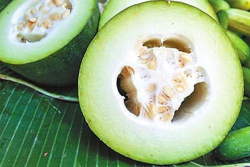 吃瓜料网,吃瓜料网带你领略明星幕后故事