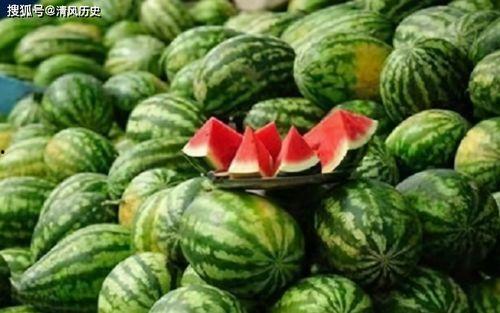 吃瓜网今日官网,揭秘娱乐圈最新动态，带你畅游八卦海洋