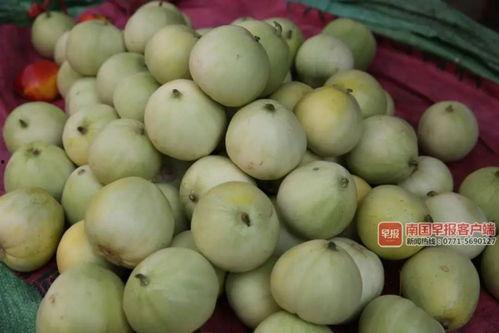 南宁吃瓜网红,南宁网红吃瓜达人带你探秘当地美食江湖