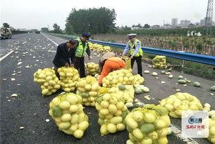 河南网红吃瓜事件视频,揭秘网络舆论的风暴与真相