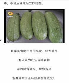 5.1吃瓜网怎么进,轻松进入瓜界新天地