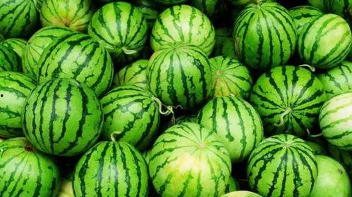 网爆吃瓜热门,揭秘娱乐圈最新八卦风云