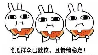 网语吃瓜的人是什么意思,网络流行语的内涵与影响