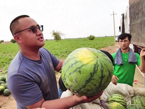 社会摇吃瓜网,揭秘娱乐圈幕后风云，带你领略网络舆论的力量