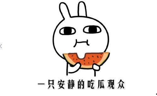 抖音吃瓜网是什么,热门话题背后的真相与趣味