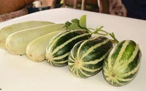 吃网红瓜的平台叫啥来着