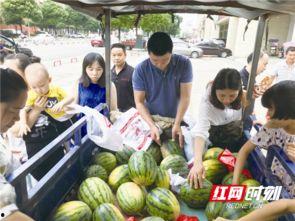 宁乡网红吃瓜事件视频最新,真相揭秘，网络舆论的漩涡与反思