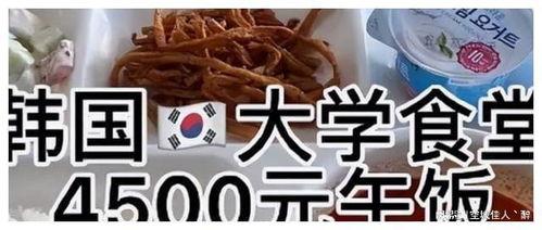 吃瓜留学生网,吃瓜留学生网的趣味解读