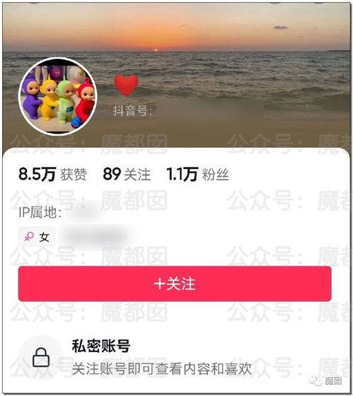 网红美女吃瓜网站,揭秘娱乐圈幕后真相，带你领略明星生活！