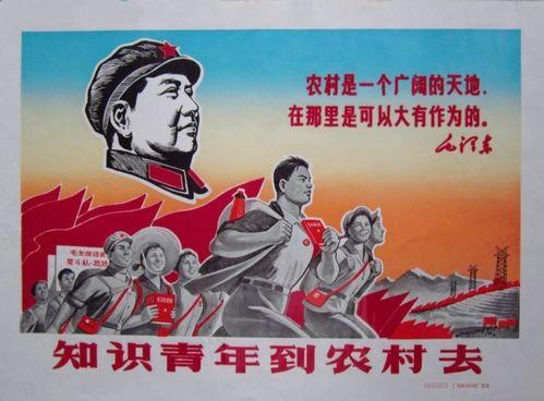 对照组知青吃瓜日常书包网,揭秘书包网背后的青春岁月