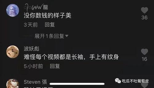 抖音网红dj吃瓜视频,揭秘娱乐圈幕后真相
